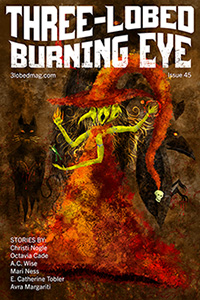 3LBE cover